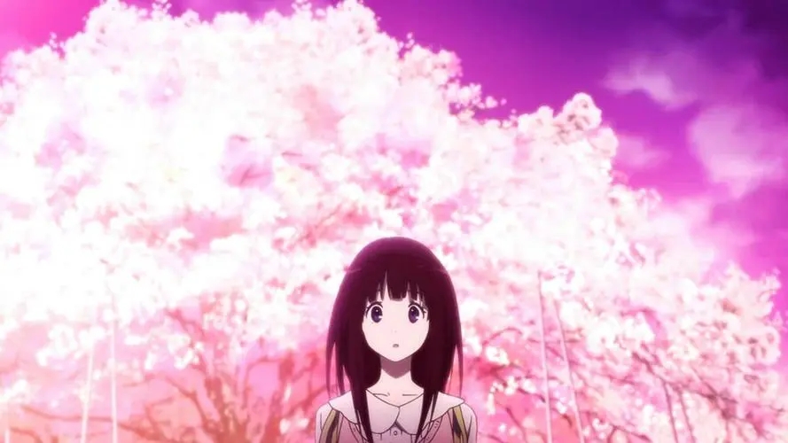 樱花动漫正版大全