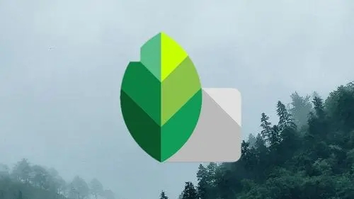 snapseed手机app安装