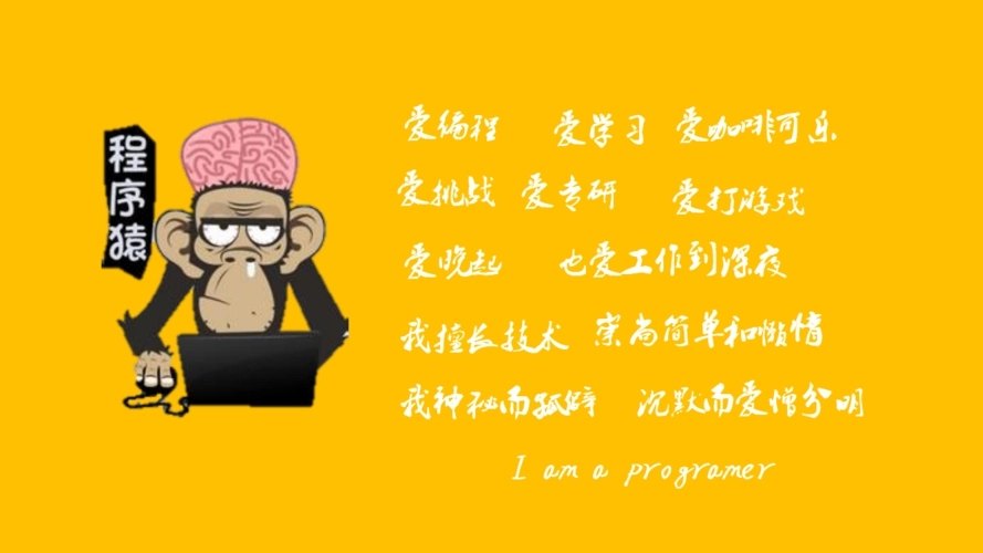 程序猿小说
