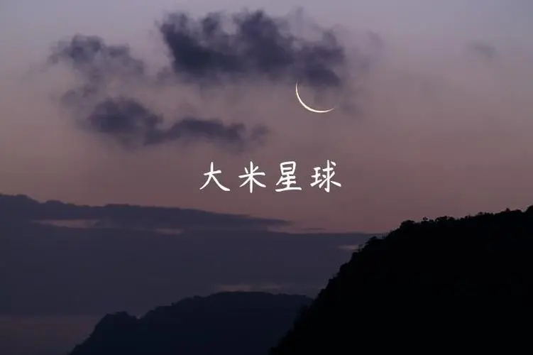 大米星球最新网站
