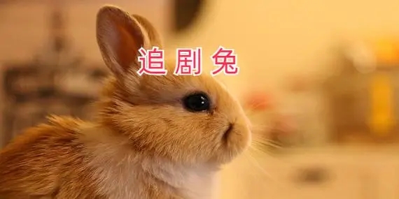 追剧兔组最新版