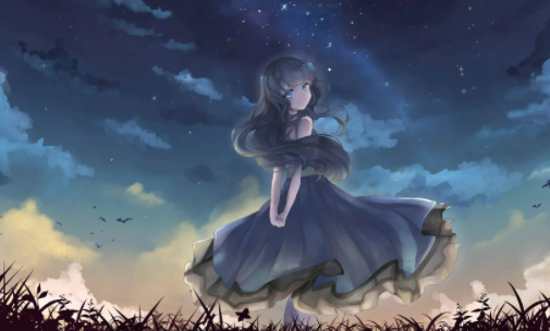 打驴动漫免费追番正式版