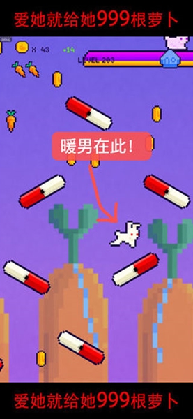 恩爱兔