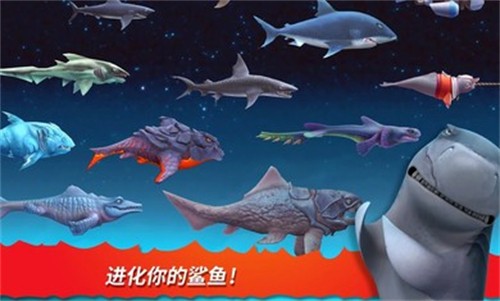 饥饿鲨进化最新版