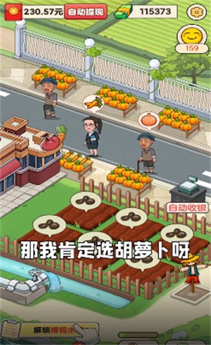 有机菜市场