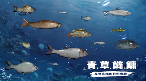 天天钓鱼最新版