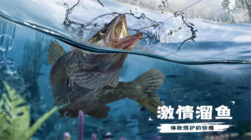 天天钓鱼最新版