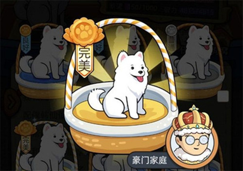 狗生模拟器