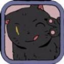 猫猫喵喵喵