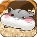 仓鼠的日常中文版