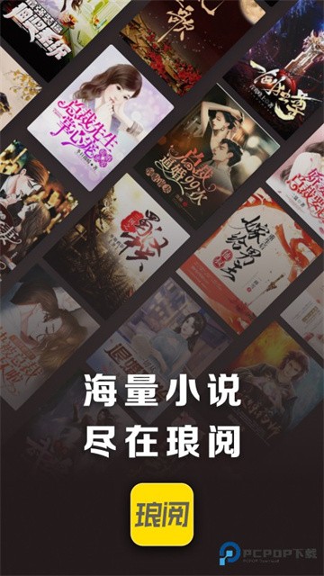 琅阅小说2026最新版