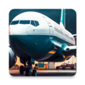 航空公司经理汉化版
