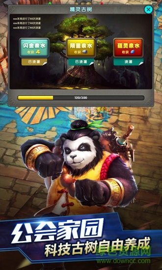 太极熊猫2