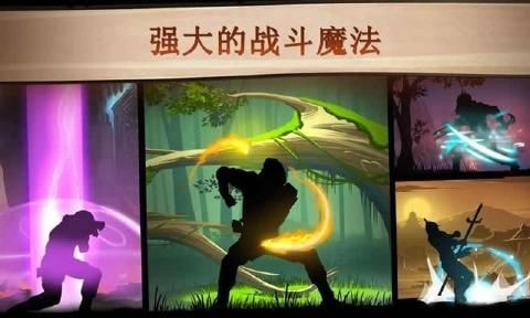 暗影格斗2官方正版