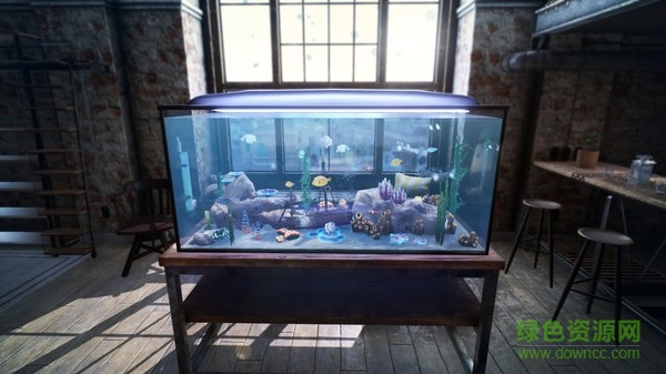 Feed_and_grow_:_Fish