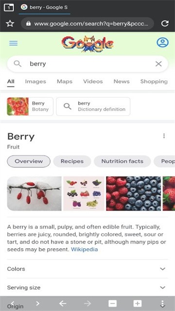 Berry浏览器最新中文版