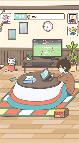 猫咪饲养日常