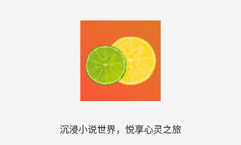 南苼小说app最新版