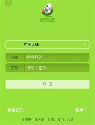西瓜皮7