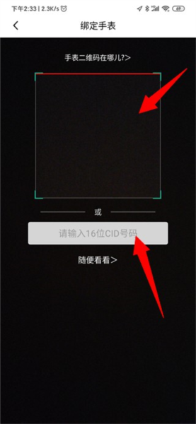 西瓜皮17