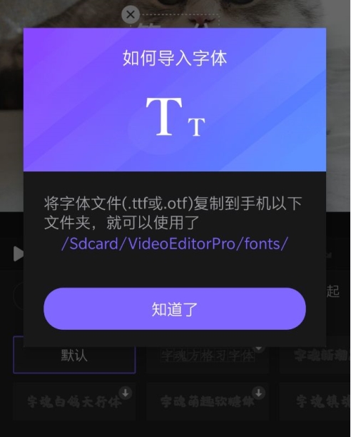 VivaCut图片16