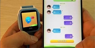 西瓜皮14