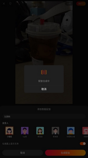 快影13