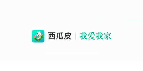 西瓜皮1