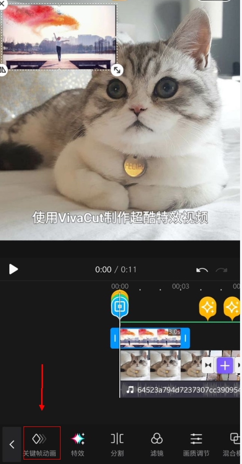 VivaCut图片7