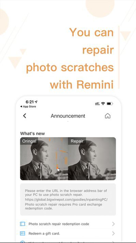 remini油画
