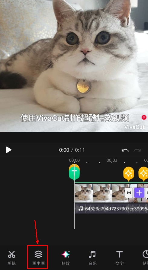 VivaCut图片6