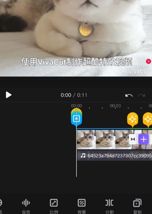 VivaCut图片13
