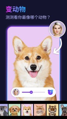 彩红相机app