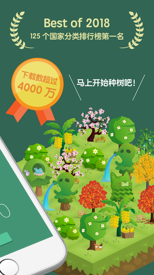 forest专注森林