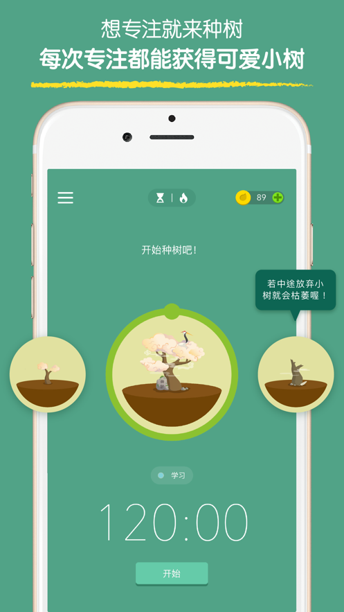 forest专注森林