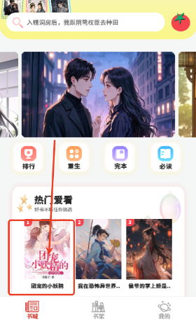 爽文小说阅读器app手机版 爽文小说阅读器app手机版