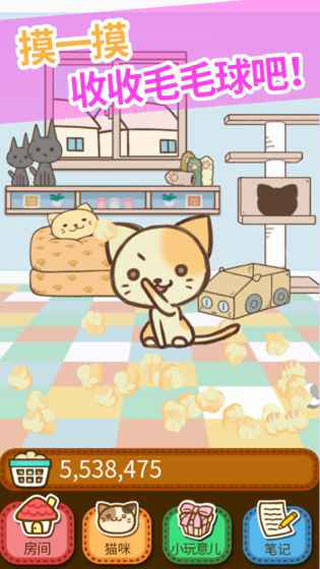 猫咪的毛游戏