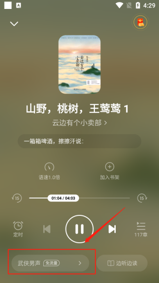 怎么设置听书模式截图4