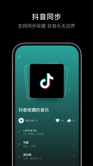 汽水音乐车机版本