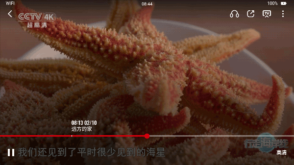 央视影音电视版