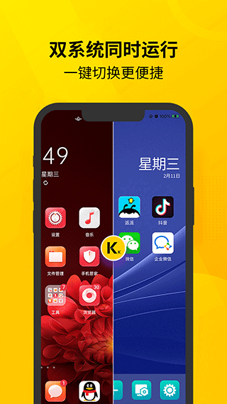 虚拟双开王app