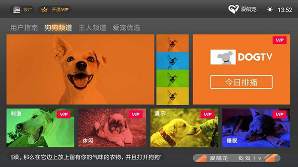 狗狗TV电视版