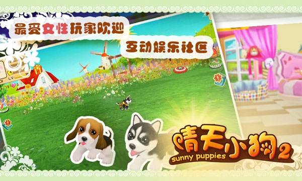 晴天小狗2正版官方