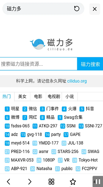 超强磁力搜索app