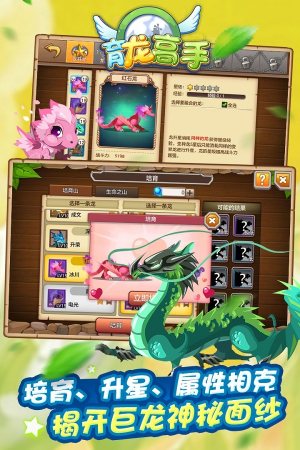 育龙高手单机版
