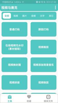 视频马赛克