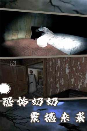 恐怖老奶奶7中文版