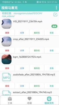 视频马赛克