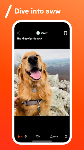 reddit