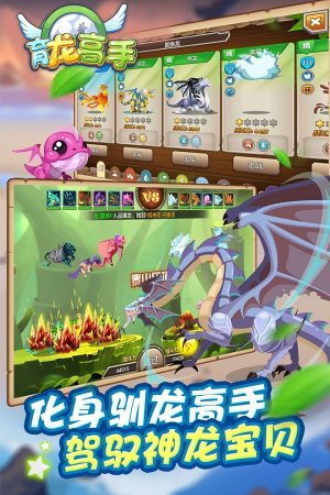 育龙高手单机版